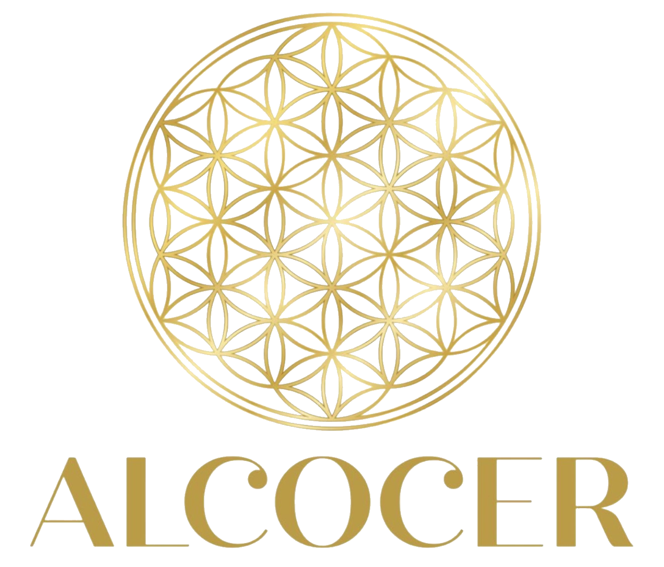 ALCOCER